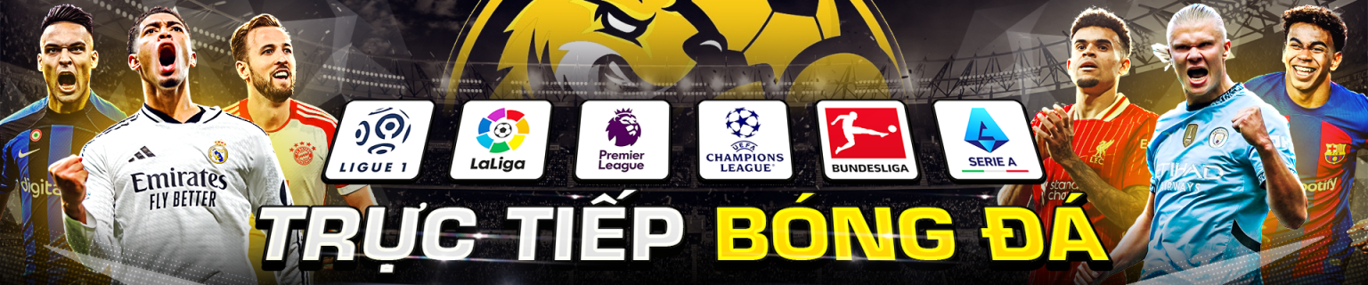Banner socolive