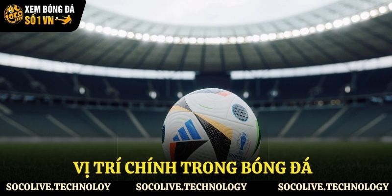 Các vị trí chính trong bóng đá