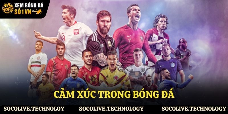 Cảm xúc vỡ òa trước những hình ảnh đẹp của bóng đá