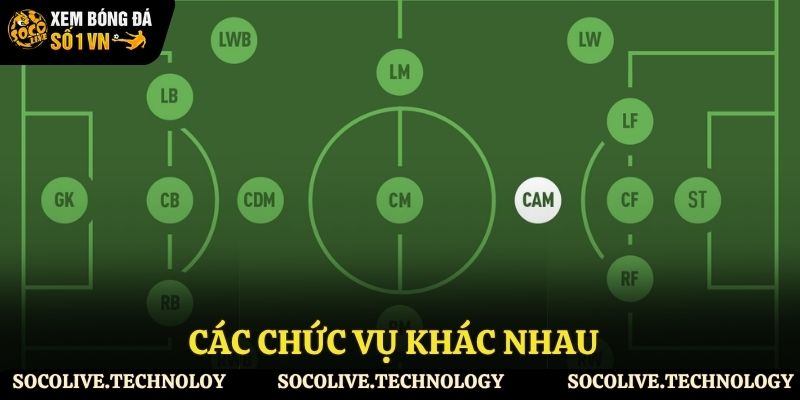 Giới thiệu các chức vụ trong bóng đá
