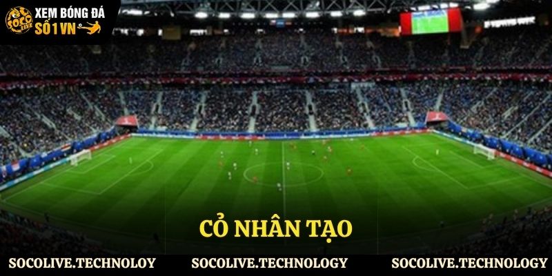 Hiện đại hơn với cỏ nhân tạo