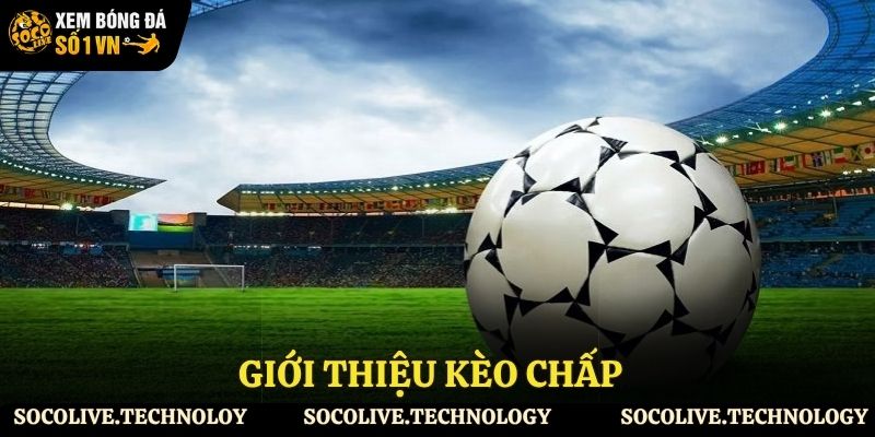 Hiểu về cược chấp trong bóng đá