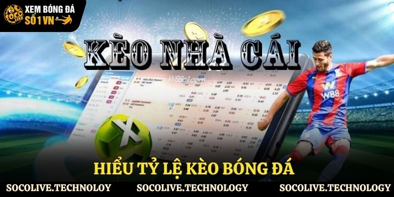 Hiểu về tỷ lệ cược trong bóng đá