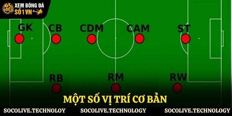 Một vài vị trí cơ bản