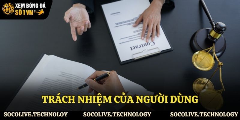 Trách nhiệm của người chơi