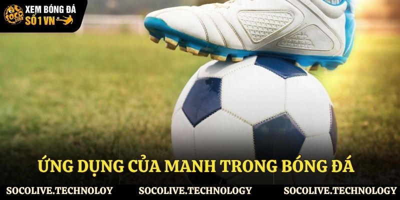 Ứng dụng của manh