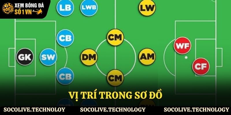 Vị trí theo sơ đồ