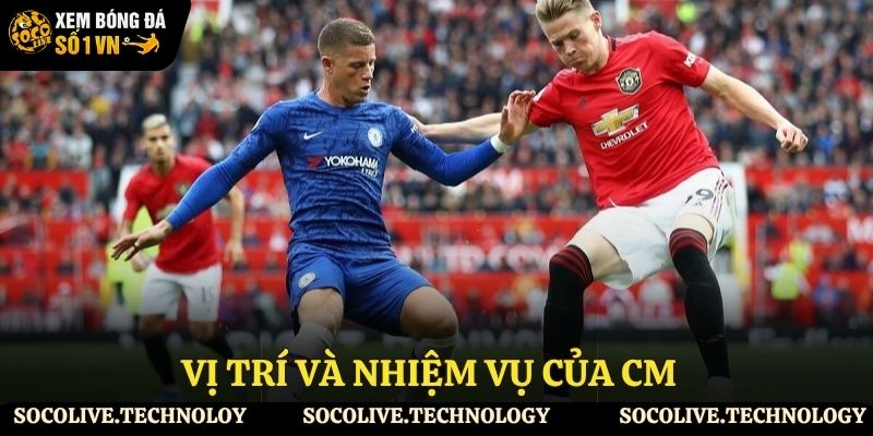 Vị trí và nhiệm vụ chiến thuật