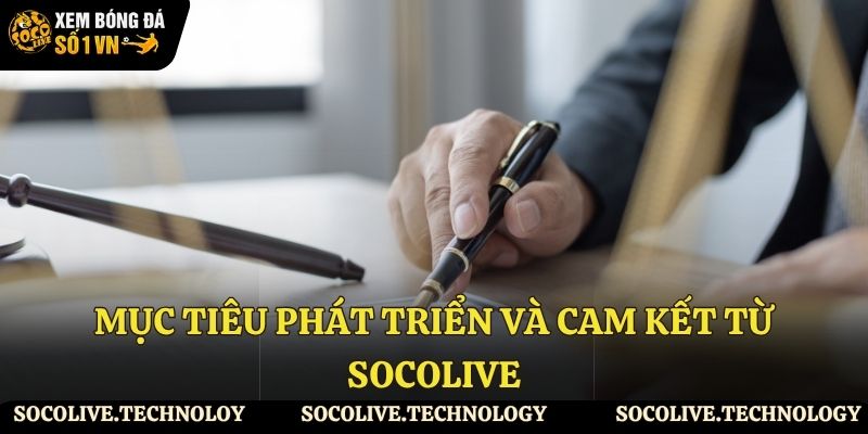 Hệ thống quyền lợi và ràng buộc giữa hai bên