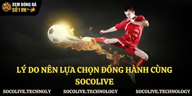 Lý do nên lựa chọn đồng hành cùng Socolive