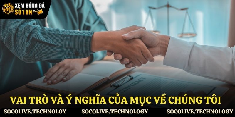 Nội dung chính trong điều khoản điều kiện cần biết