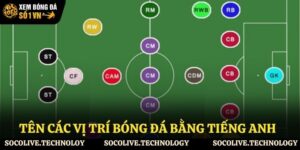tên các vị trí trong bóng đá bằng tiếng anh